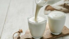 Kefir ve turşu gibi fermente gıdalar ruh sağlığına faydalı