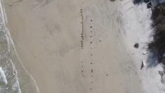 Sahilde ortaya çıkan gizemli ahşap nesne merak konusu oldu