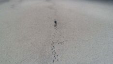 Son 36 yılda Göller Bölgesi’ndeki altı gölün alanı yüzde 51 azaldı