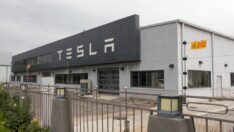 Tesla, Çin’deki fabrikasında üretimi yavaşlatıyor