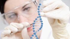 Tüketilen alkol miktarını genler belirliyor