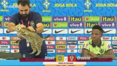 Vinicius Jr basın toplantısında kedi krizi! Masadan aşağıya attı…