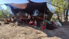 Yörüklerin zorlu yaşamı