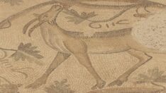 Adıyaman’da bulunan mozaikler şehrin tarihine ışık tutuyor