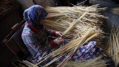 Aile boyu ot süpürgesi yapıyorlar