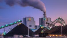 Avrupa enerji krizinden kömürle çıkmaya çalıştı