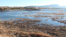  Beyşehir Gölü, can çekişiyor