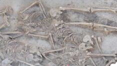 Bilim insanlarını korkutan keşif: Sadece birinin kafası çıktı