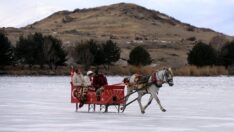Çıldır Gölü’nde atlı kızak keyfinin yerini yazın tekne turları alacak