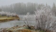 Dicle Vadisi beyaza büründü