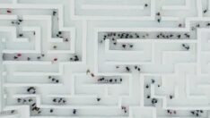 Dünyanın en büyük kar labirenti ziyaretçilerini ağırlıyor