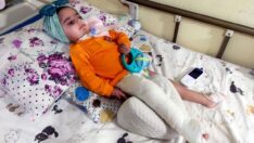 Havvanur’un ilacı için gereken paranın yüzde 10’u toplanabildi