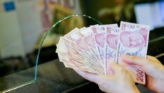 Hazine alacakları aralık sonu itibarıyla 20,8 milyar lira oldu