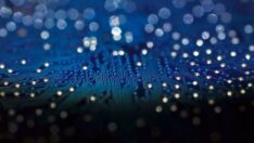 Hollanda, mikroçiplerin Rusya’ya ihraç edilmesini istemiyor