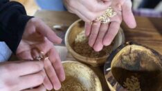 İsteyene ‘ata tohumu’ gönderiyor