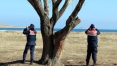 Jandarmanın kuğu nöbeti