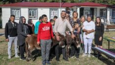 Kaderine terk edilen köy okulu umut oldu