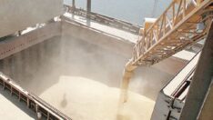 Kuraklığın gölgesindeki tarım çözümü ithalatta arıyor