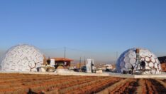 Lavanta tarlasına “Arı Müzesi”