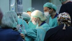 ‘Rahim nakline çok büyük talep var’