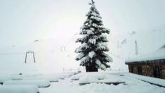 Saklıkent’te gecikmeli kar sevinci