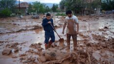 Sel felaketinden zarar gören TARSİM’li çiftçi yardımdan yararlanamadı