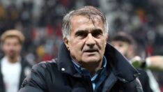 Şenol Güneş’ten Wout Weghorst’a cevap