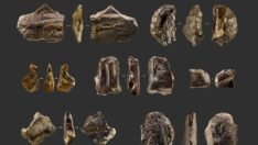 Tarih öncesi insan faaliyetine dair yeni kanıt bulundu