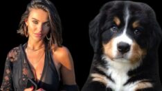 Tuvana Türkay köpeğini kurtarmak için denize atladı