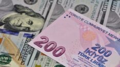 Uluslararası yatırım pozisyonu açığı kasımda arttı