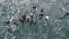 Yüzeyi buzla kaplı Balık Gölü’nde fotoğraf merakı