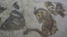 Aşil’in hayatı ve savaşçı Amazon kadınlarının mozaikleri Şanlıurfa’da