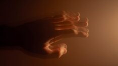 Çinli bilim insanları Parkinson tedavisi için kök hücre deneyi yaptı