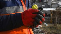 Enkazdan 5 gün sonra çıkarılan muhabbet kuşuna Mucize adı verildi