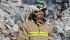 Enkazdan kurtarılan kedi kurtarıcılarının omuzunda