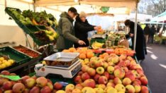 Euro Bölgesi’nde enflasyon yüzde 8,5’e geriledi