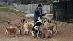 ‘Gözyaşı Çiftliği’ can dostlara yuva oldu