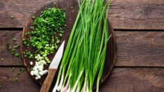 İstanbul’un ocak ayı zam şampiyonu yeşil soğan