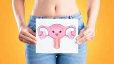 Kadınlara kanser uyarısı: Fallop tüplerinizi aldırın