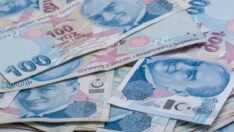 Kalkınma ajanslarına bu yıl kullandırılacak transfer ödenekleri belirlendi