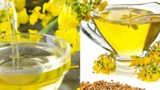 Kanola Yağının Saç İçin Faydaları Nelerdir? Saça Nasıl Uygulanır?