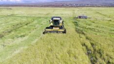 Kırsal kalkınma projelerinde değerlendirme süreleri uzatıldı