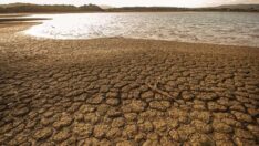 Son 50 yılda dünyadaki sulak alanların yüzde 35’i yok oldu