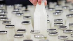 Süt ve peynir üretimi 2022’de azaldı