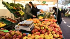 Almanya’da enflasyon martta yüzde 7,4’e geriledi