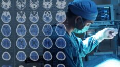 Bilim insanları, beyindeki iç pusulanın nasıl çalıştığını tespit etti