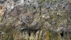 Depremler sonrası Kahramanmaraş’taki şelalenin suyu kurudu