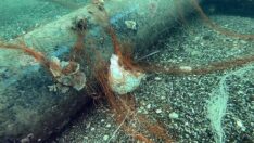 Falezler bölgesi ‘hayalet ağlar’a teslim