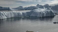 Küresel ısınma okyanusların karbondioksit emme kapasitesini düşürdü