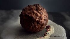 Mamut hücresiyle köfte yaptılar